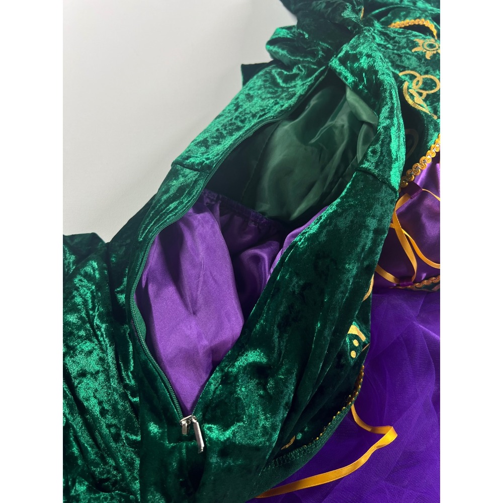 Hocus Pocus Winifred Sanderson Halloween Cosplay Velvet Medieval Gown Medium - Picture 10 of 16